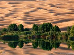 Tapeta National Geographic 684.jpg
